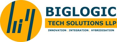 Biglogictech Logo